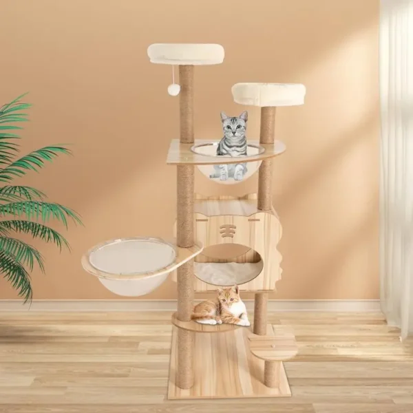 cat products