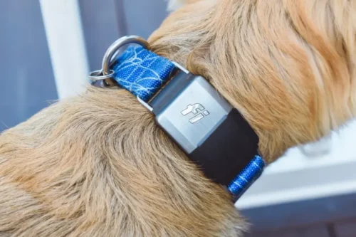 gps tracker for pet 