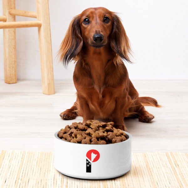 Pet bowl - Image 4