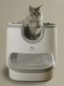 automatic litter boxes