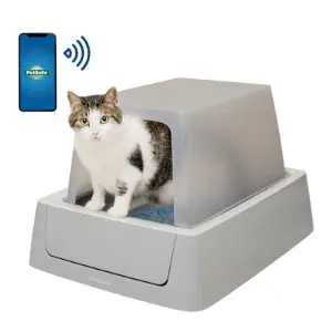 automatic litter boxes