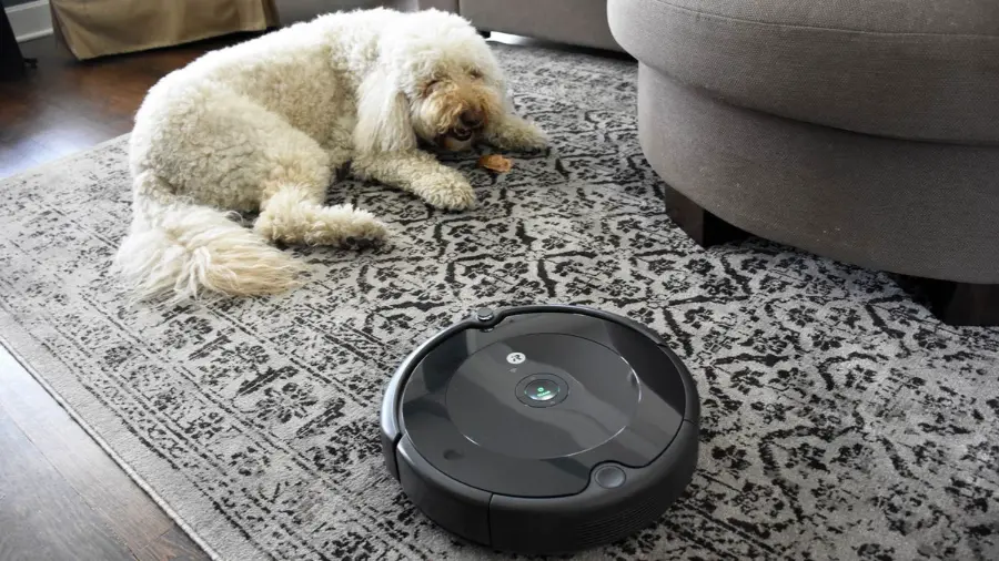 robotic vacuums for pet hair