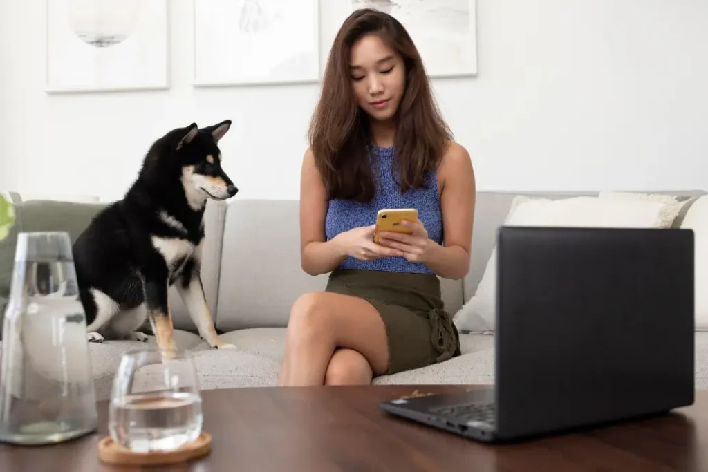 Pet Care