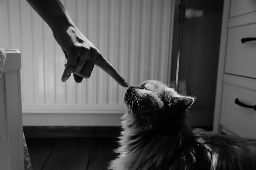 instinctive behaviors