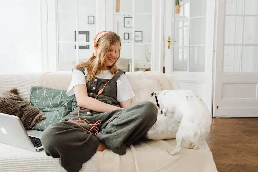 accessories for pets