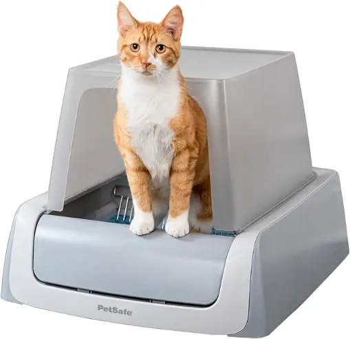 automatic litter boxes