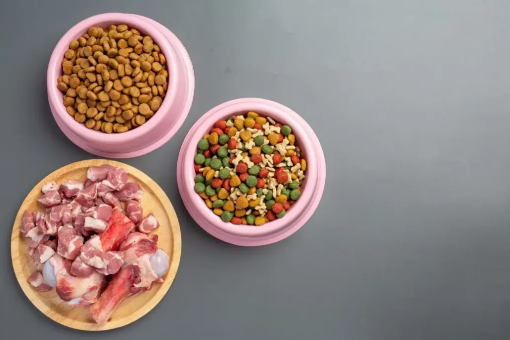 cooking for pets