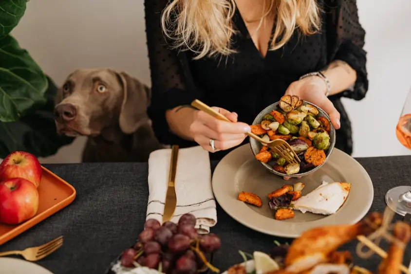 Homemade Pet Food