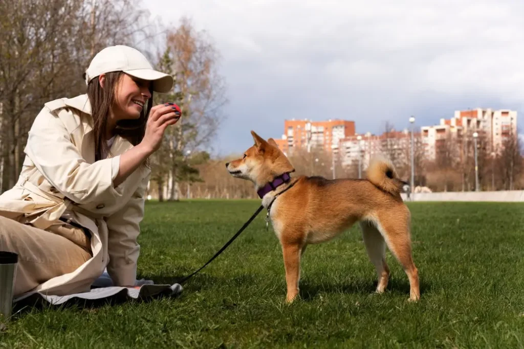 gps tracker for pet